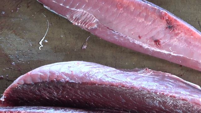 sharpest knife cutting Tuna and Marlin fish- 用最鋒利的切割鮪魚和旗魚