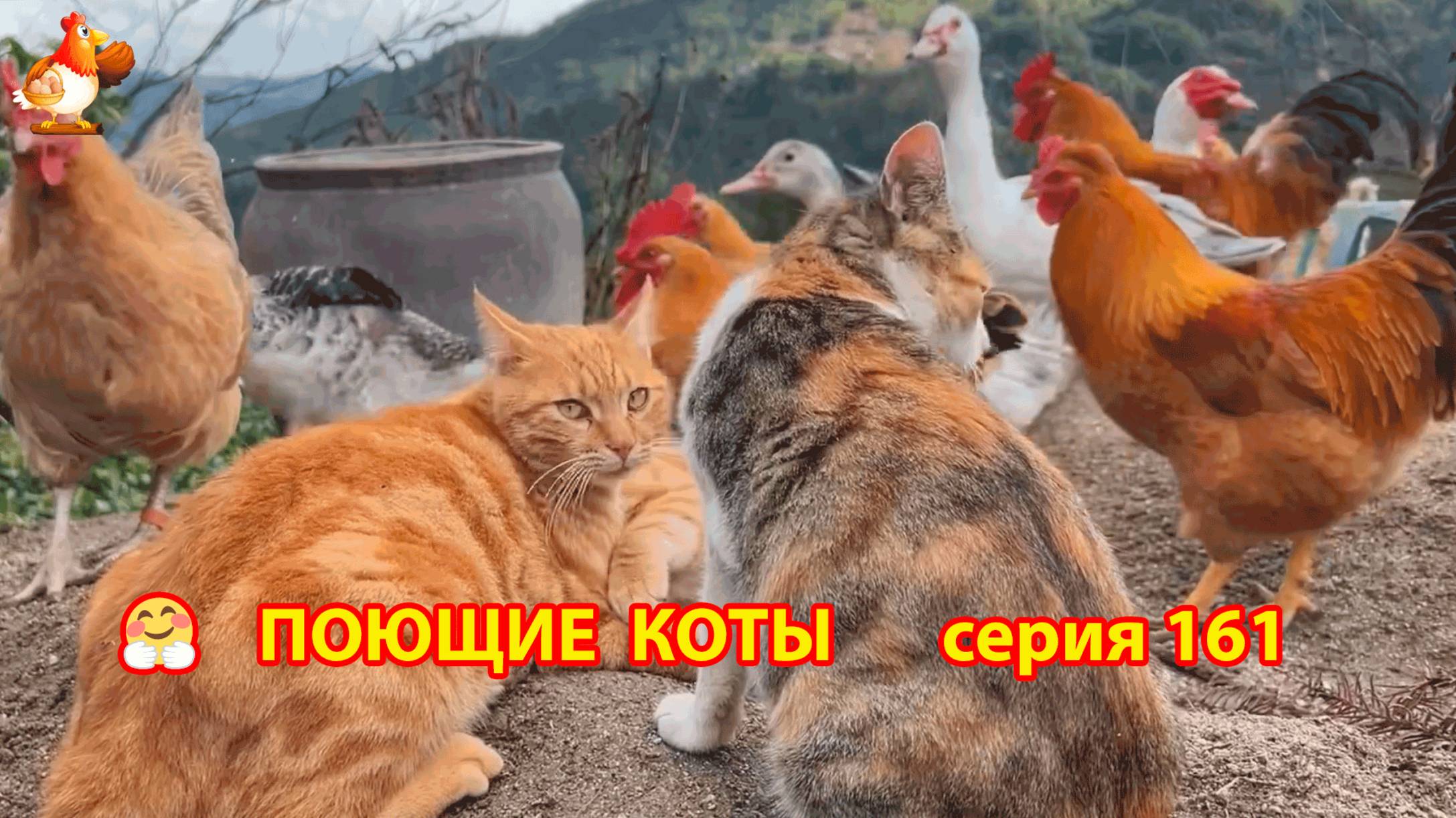 Крутые коты у птичьего двора серия (161) 🐈🐈😹 Природа Абхазии и подворье с птицами и животными ❣
