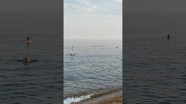 Дельфіни в Одесі, може це добрий знак для України? 10.07.25