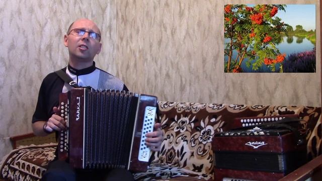 "Что стоишь,качаясь,тонкая рябина".("Тонкая рябина").Кавер-версия.Гармонь.