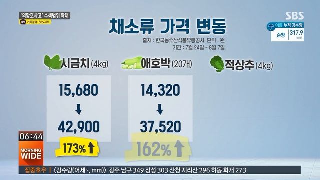 긴 장마에 채소·과일값 인상…추석까지 이어질 듯 / SBS