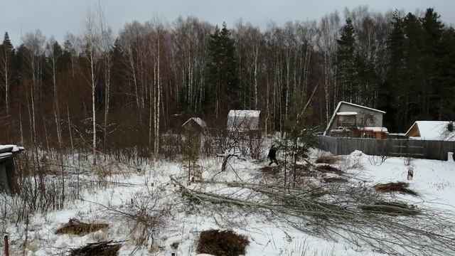 расчистка нового участка