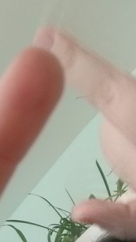 scene_output.mp4
