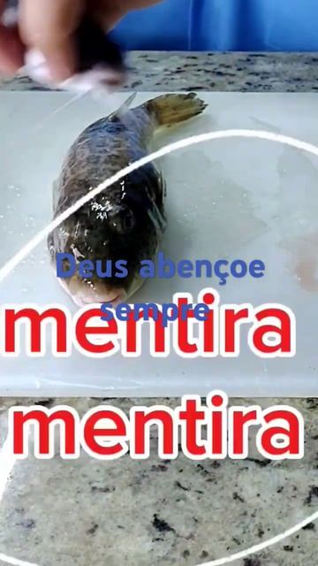 #veneno do baiacu