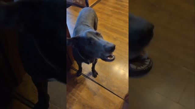 1000174572.mp4