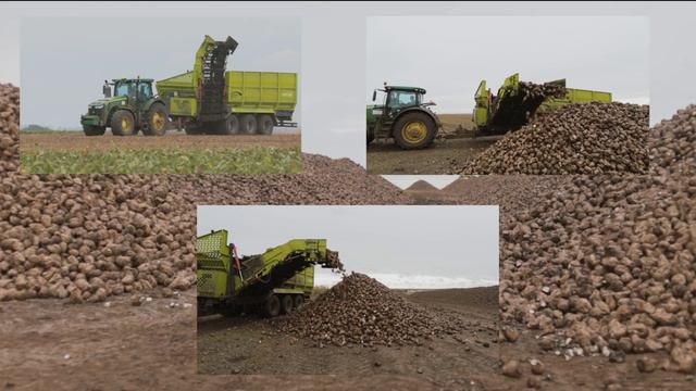 Полуприцеп-накопитель-перегрузчик свеклы ПНПС-450 от GRITAN