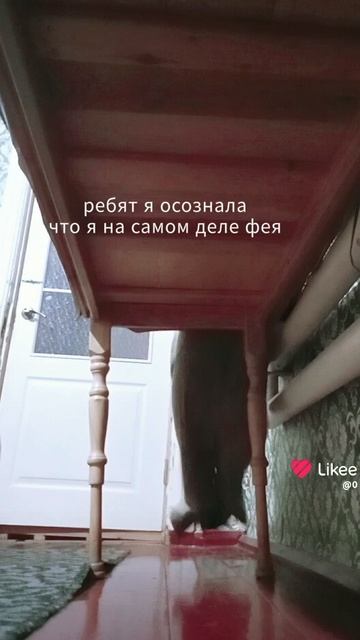 1000025970.mp4