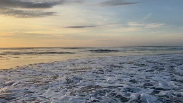 Summer Dog Days Still a Walk on the Beach Though || Chapter 43 - Surf Coffee Country