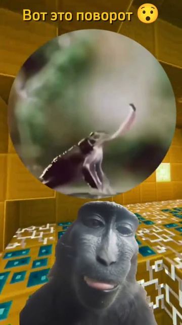 1000004144.mp4