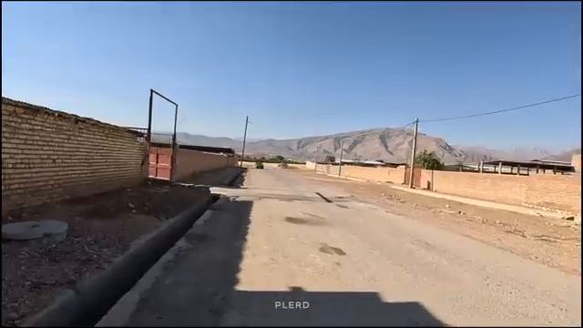 09.07.2023 Трогательное преображение Спасение и лечение раненой собаки в пустыне