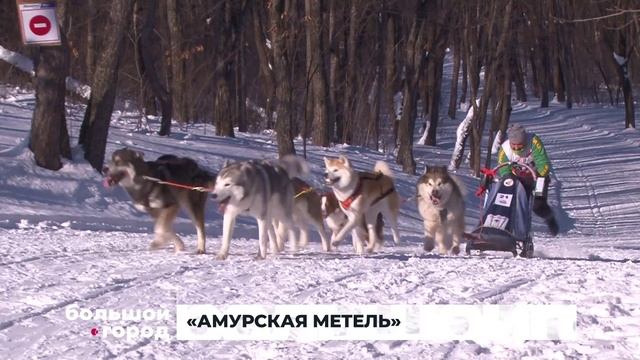 «АМУРСКАЯ МЕТЕЛЬ». Большой город 17/02/2025