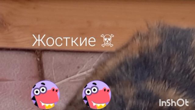 Я и моя логика