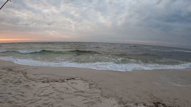 UFO's and a LOT of POMPANO
