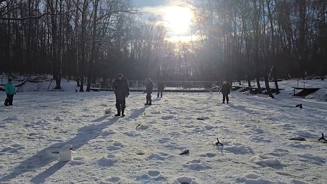 21.02.25 г. Парк отдыха водопад