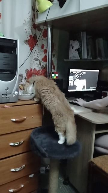 1000005646.mp4