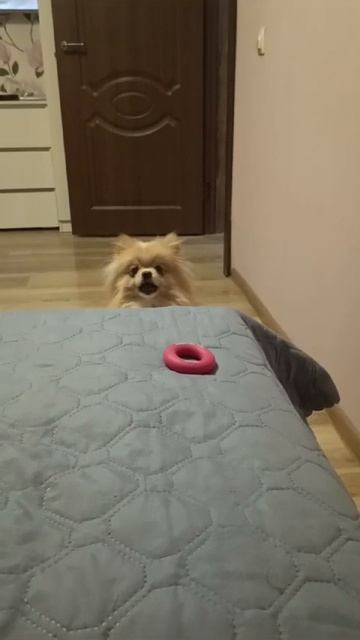 Барни
