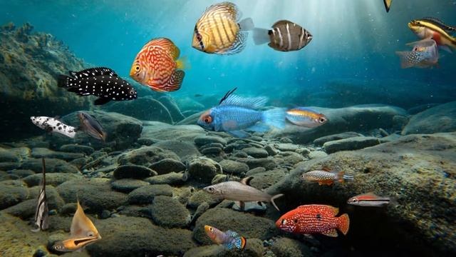 [JQ-0011] Fish tank background image HD ocean series wallpaper pattern size can be customized