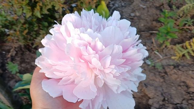 20240702_201354 (online-video-cutter.com)