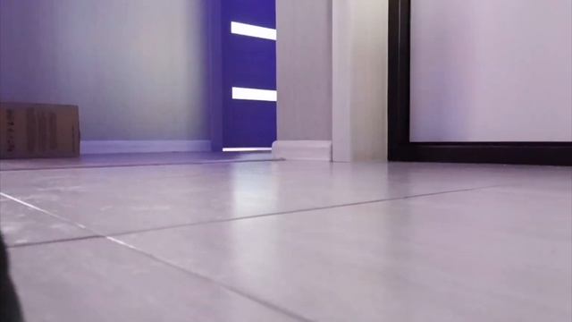 Краш-тест машины из пластелина