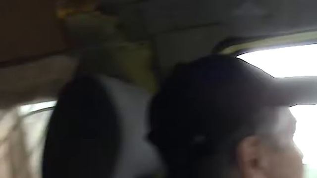 просто газель.