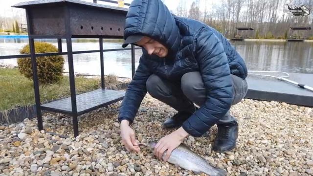 Таскаю рыбу одна за одной в гордом одиночестве.