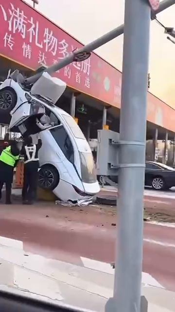 https://t.me/automotoonline