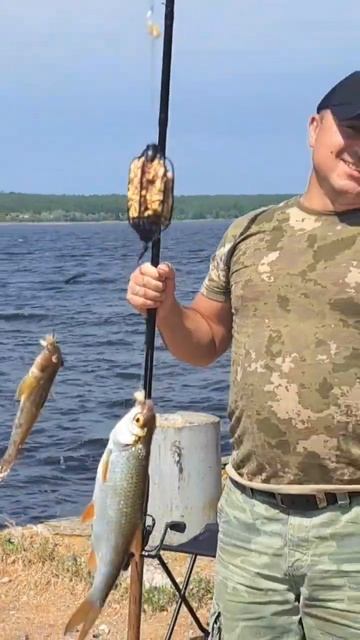 Дуплет бычёк и плотва на одну снасть #рыбалка #fishing #днепр #плотва #бычёк