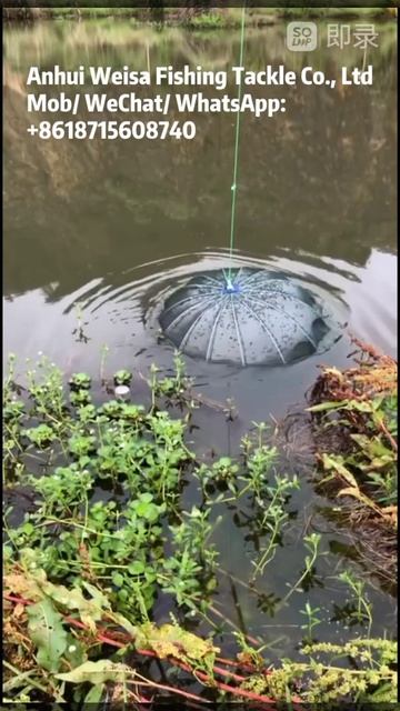 Umbrella fishing trap