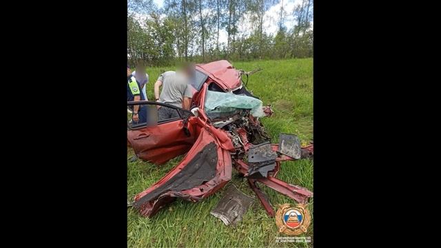 Подборка на видеорегистратор за 9.08.24