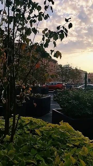 Осенний сад на Синем мосту