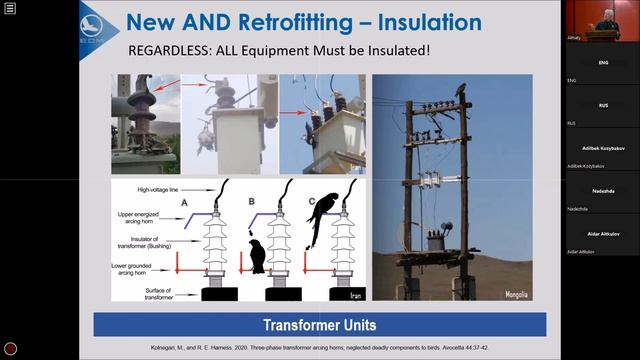 R.E. Harness. Retrofitting to last – selecting optimal wildlife protection products
