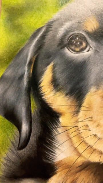 Details of my latest commission #shorts #art