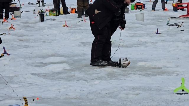 22.02.25 г. Парк отдыха водопад