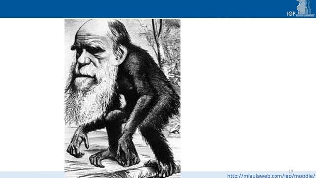 PERSPECTIVA EVOLUCIONISTA DEL HOMBRE Y DE LAS ORGANIZACIONES - SECCIÓN "A" (MÓDULOI)
