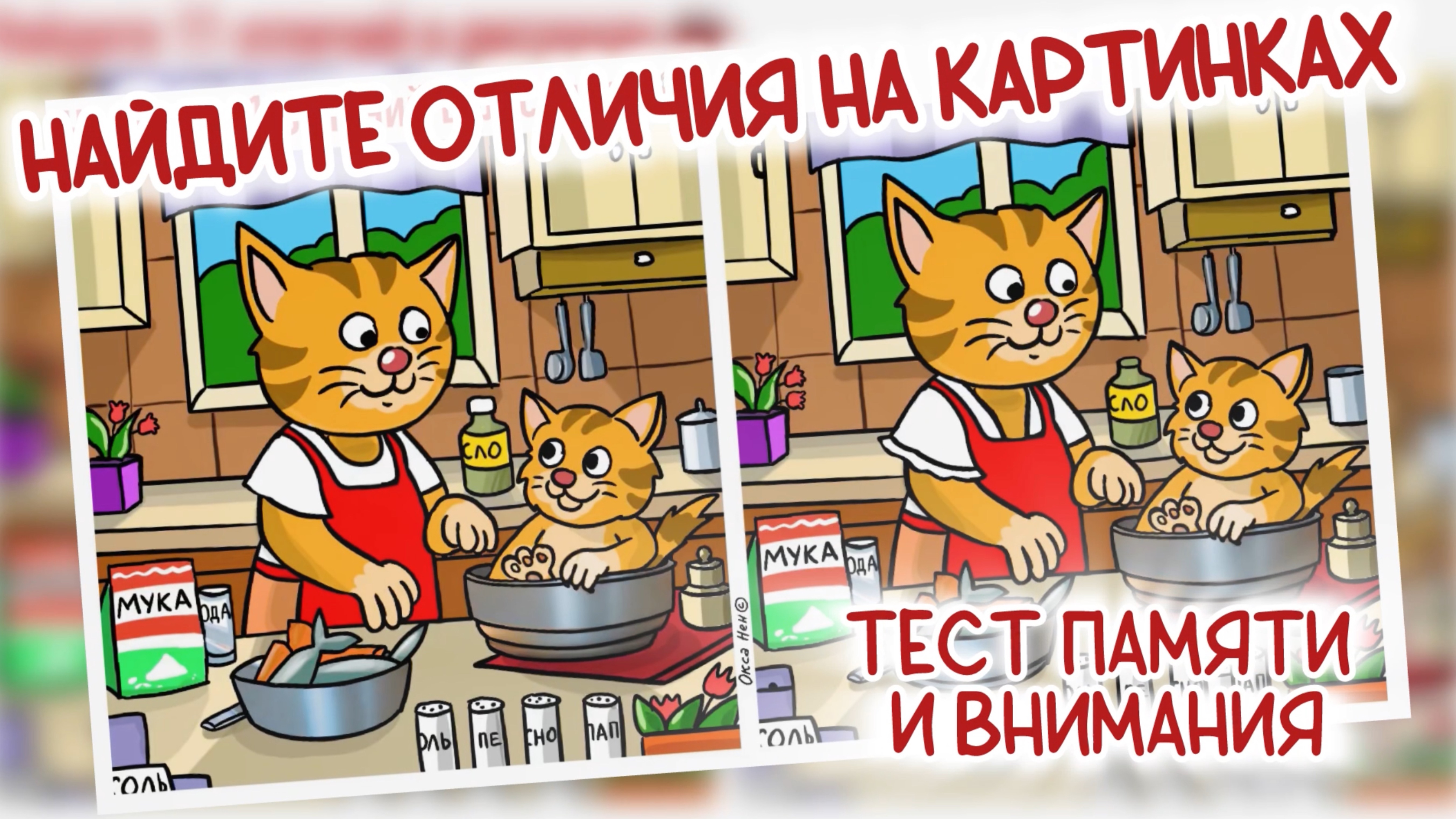 Найдите 11 отличий на картинках! Полезное развлечение для памяти и внимания.