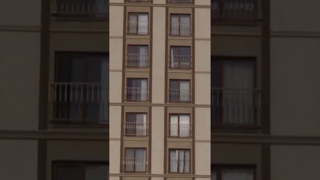 КАНДАЙ  ҮЙЛӨР ЖЕР ТИТИРӨӨГӨ ТУРУШТУК БЕРДИ ? февраля 2023 г.