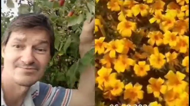 дуэт  в разное время