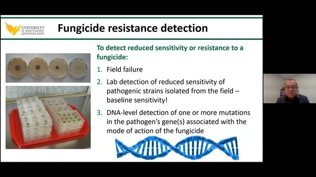 AFREN webinar - NSW / QLD