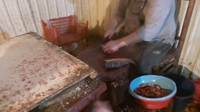 хоразим балик бозори. Xorazim baliq bozori