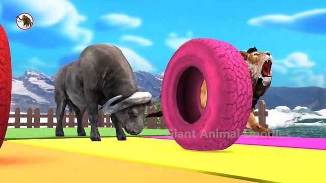 Spin Tires into Bathtub with Gorilla, Buffalo, Zombie T-Rex, Lion | Wild Animals Funny Game Video