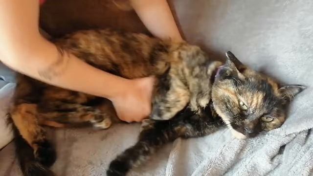 ПОЛИНА ПРЫГАЕТ НА КРОВАТИ