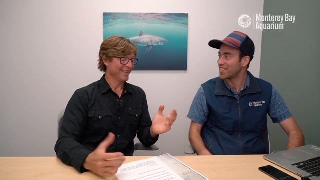 Talking White Shark Science with Dr. Sal Jorgensen!