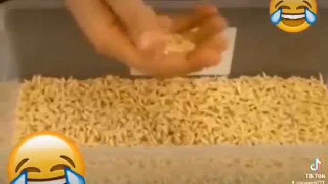 VID-20250219-WA0246