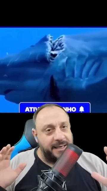 Mordida de tubarão #animais #biólogohenrique #serpentes #biologia