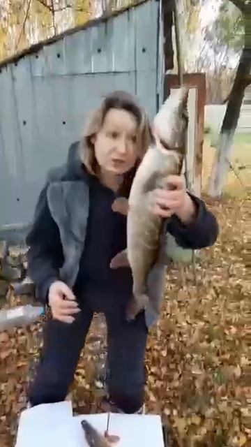 VID-20250219-WA0247