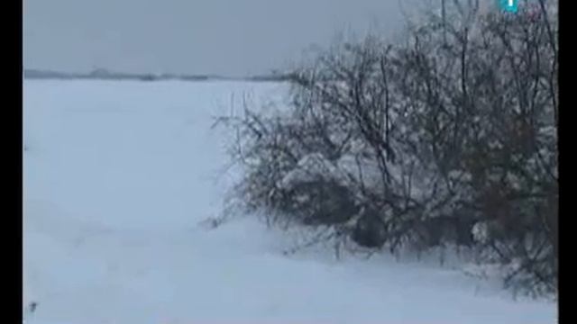 Jak vetar otežava saobraćaj u vršačkom kraju