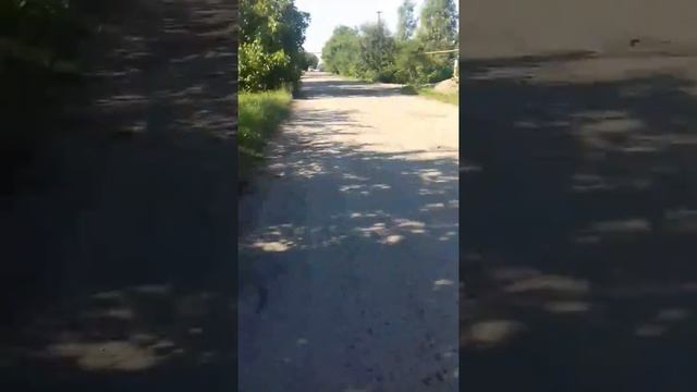Дорога жесть.