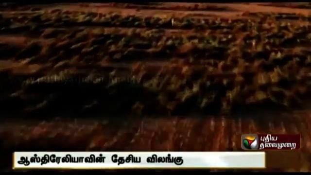 Fascinating Facts (03-09-2014)
