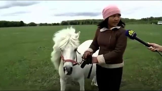 Өңірде ат жарыс маусымы ашылды