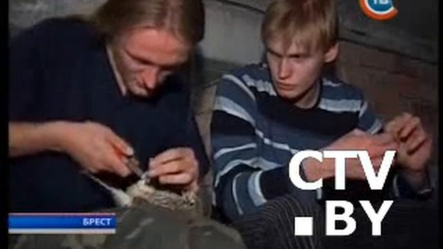 Пустальга ў Брэсце